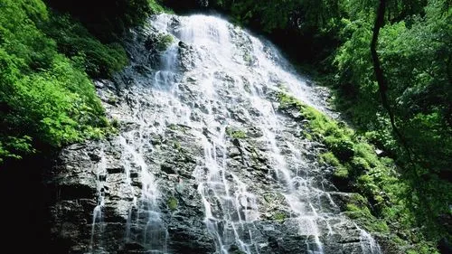 智能系统高性能